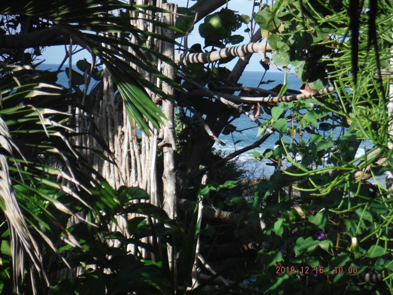 Kudehya Guesthouse Treasure Beach Exterior photo